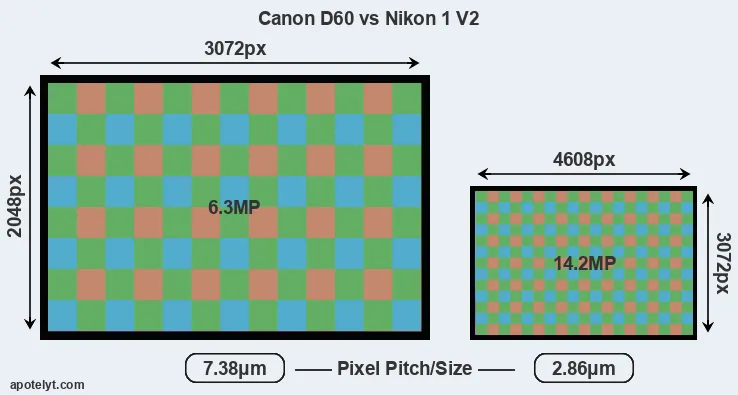 D60 versus V2 MP
