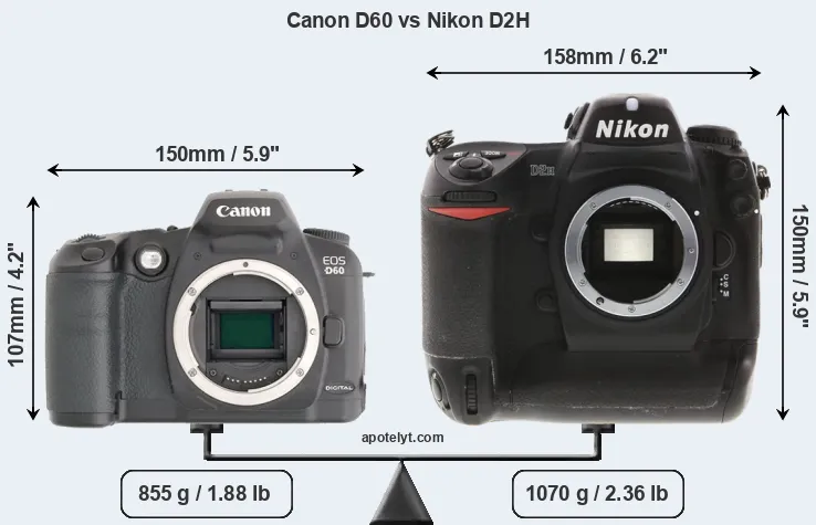 Size Canon D60 vs Nikon D2H