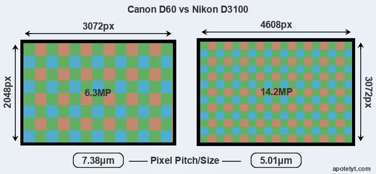 D60 versus D3100 MP