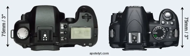 Compare D60 versus D3100 top