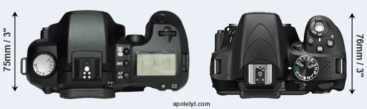 Compare D60 versus D3300 top