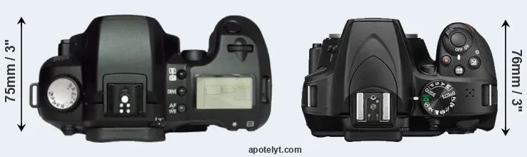 Compare D60 versus D3400 top