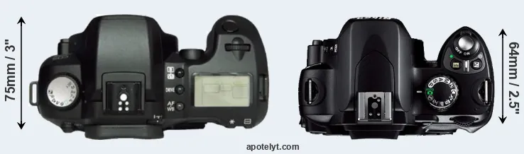 Compare D60 versus D40 top