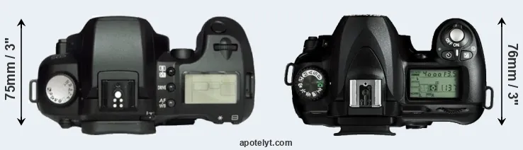 Compare D60 versus D50 top