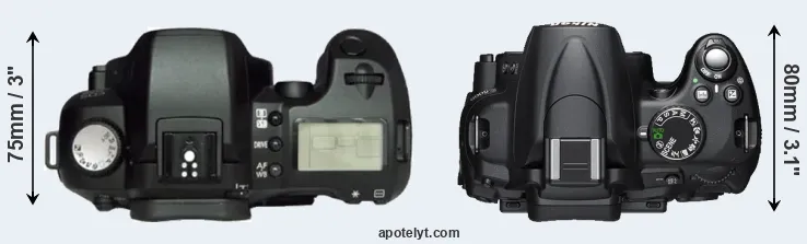 Compare D60 versus D5000 top