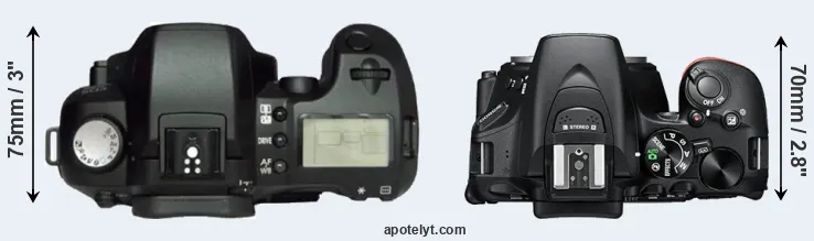 Compare D60 versus D5600 top