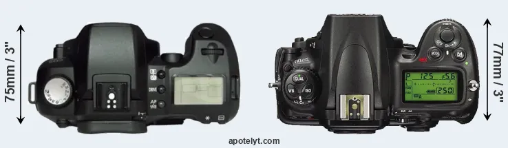 Compare D60 versus D700 top