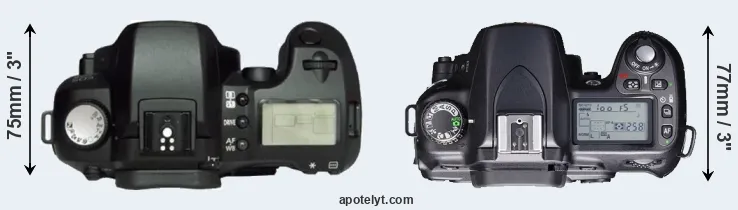 Compare D60 versus D80 top