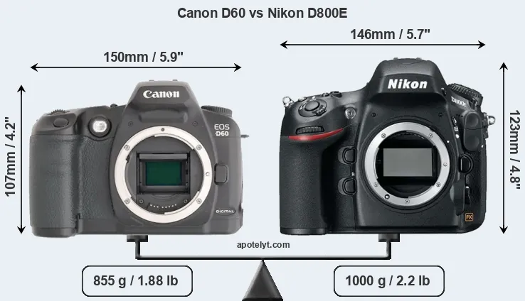 Size Canon D60 vs Nikon D800E