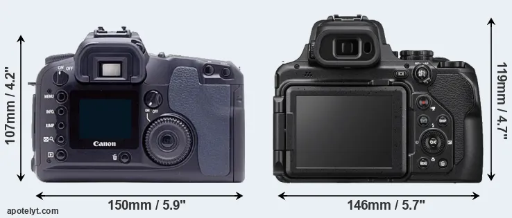 Comparison D60 or P1000 rear