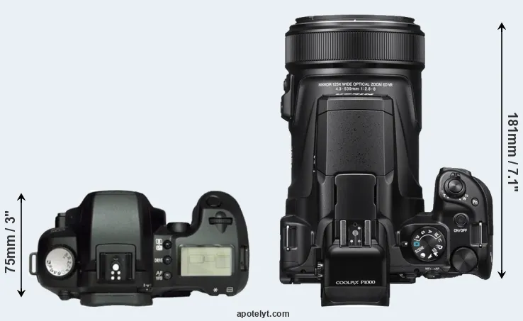 Compare D60 versus P1000 top