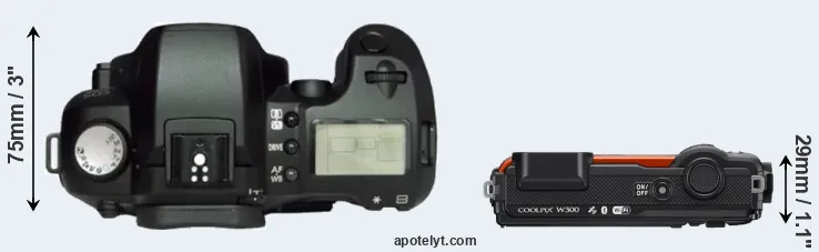 Compare D60 versus W300 top