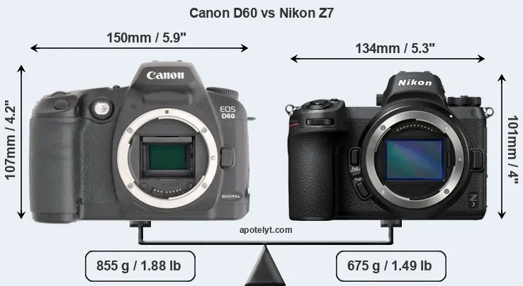 Size Canon D60 vs Nikon Z7