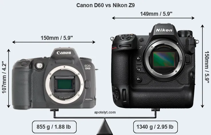 Size Canon D60 vs Nikon Z9