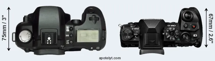 Compare D60 versus E-M1 II top