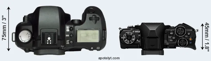 Compare D60 versus E-M5 II top