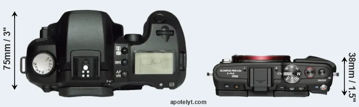 Compare D60 versus E-PL6 top