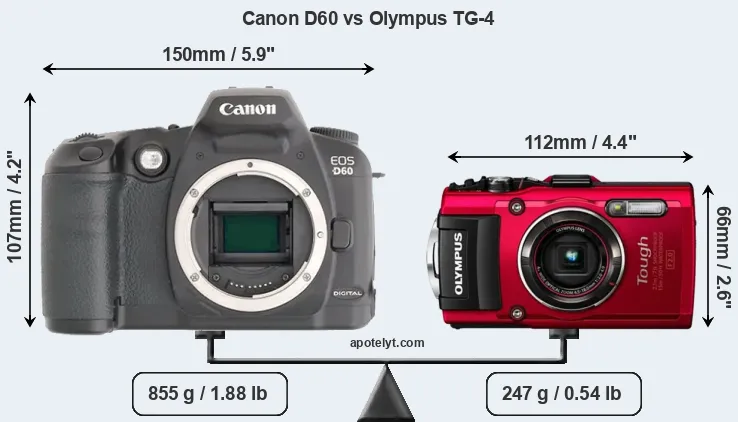 Size Canon D60 vs Olympus TG-4