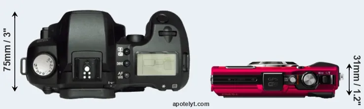Compare D60 versus TG-4 top
