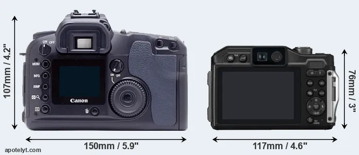 Comparison D60 or FT7 rear