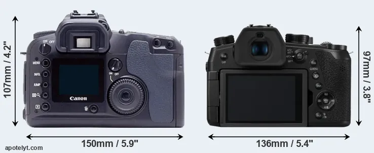 Comparison D60 or FZ1000 II rear
