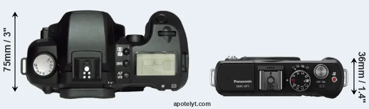 Compare D60 versus GF1 top