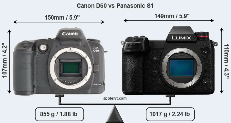 Size Canon D60 vs Panasonic S1
