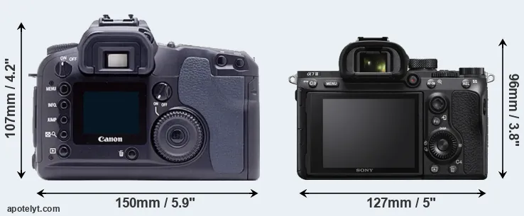 Comparison D60 or A7 III rear