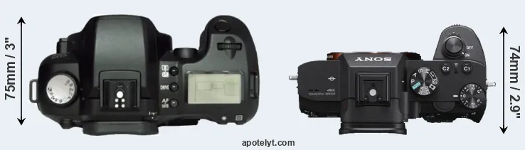 Compare D60 versus A7 III top