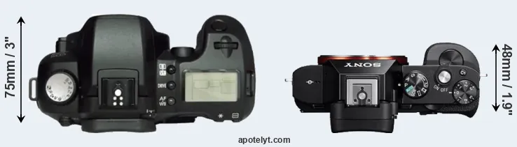 Compare D60 versus A7 top