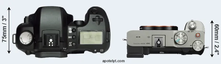 Compare D60 versus A7C top