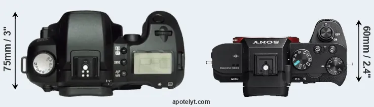 Compare D60 versus A7R II top