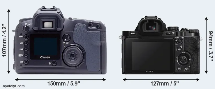 Comparison D60 or A7S rear