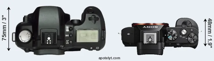Compare D60 versus A7S top
