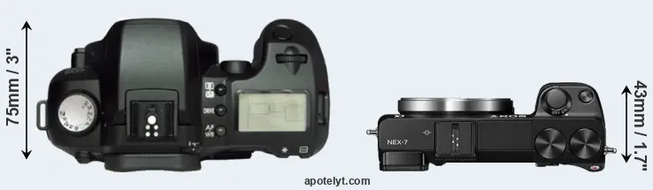 Compare D60 versus NEX-7 top