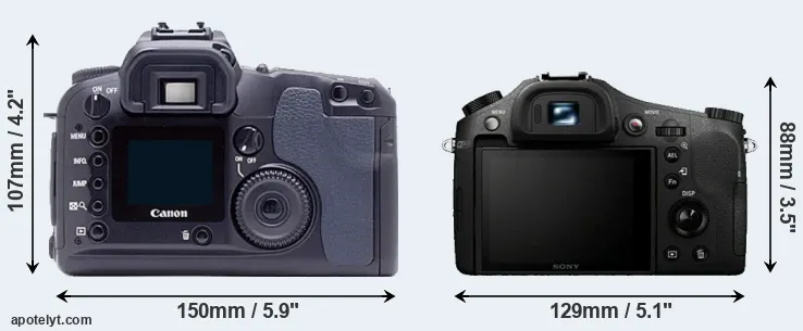 Comparison D60 or RX10 rear
