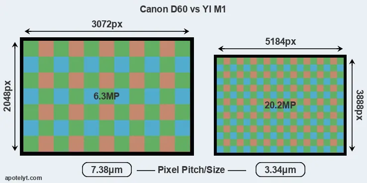 D60 versus M1 MP