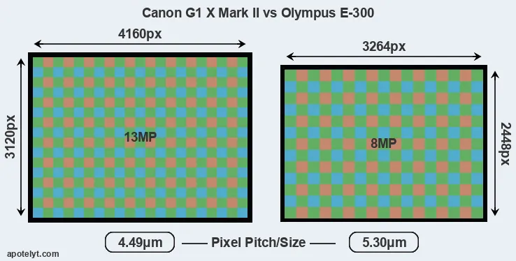 G1X Mark II versus E-300 MP