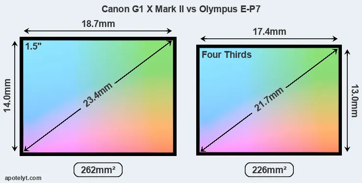 Canon G1 X Mark II and Olympus E-P7 sensor measures