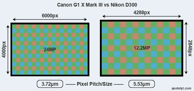 G1X Mark III versus D300 MP