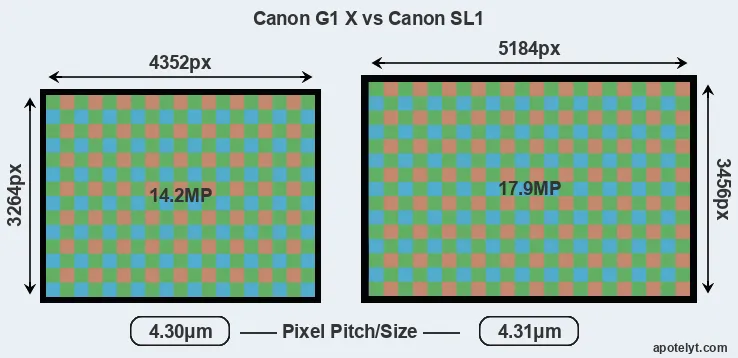G1X versus SL1 MP