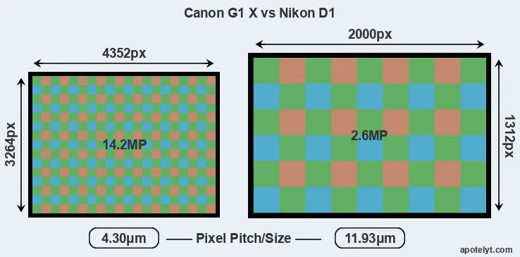 G1X versus D1 MP