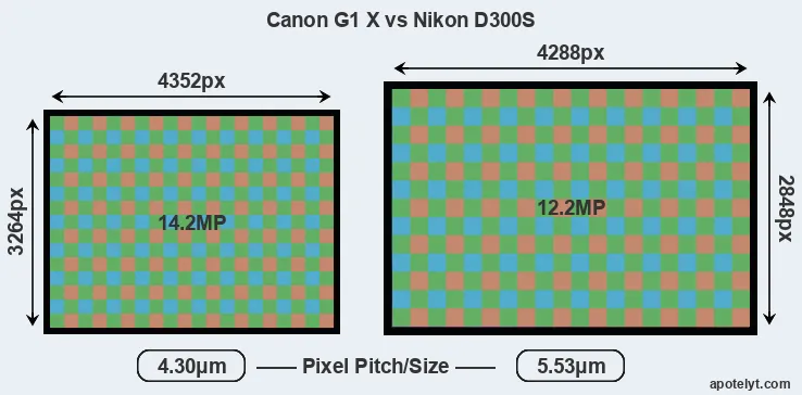 G1X versus D300S MP