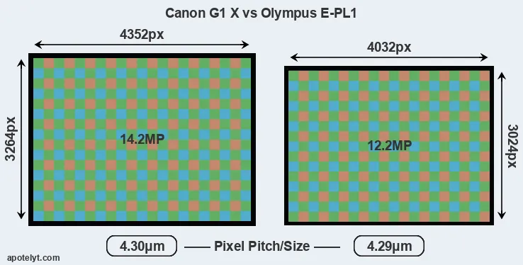 G1X versus E-PL1 MP