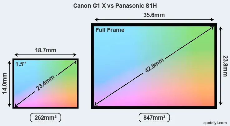Canon G1 X and Panasonic S1H sensor measures