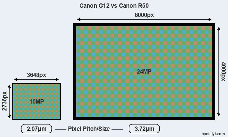 G12 versus R50 MP