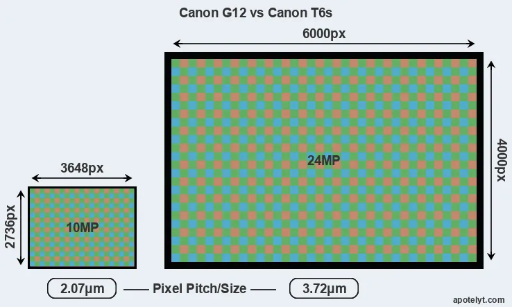 G12 versus T6s MP