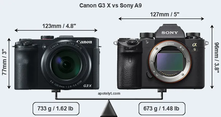 Size Canon G3 X vs Sony A9
