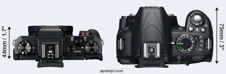 Compare G5X versus D3100 top