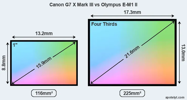Canon G7 X Mark III and Olympus E-M1 II sensor measures